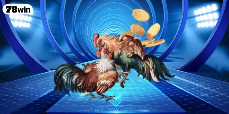 Tổng quan chi tiết về đá gà 888